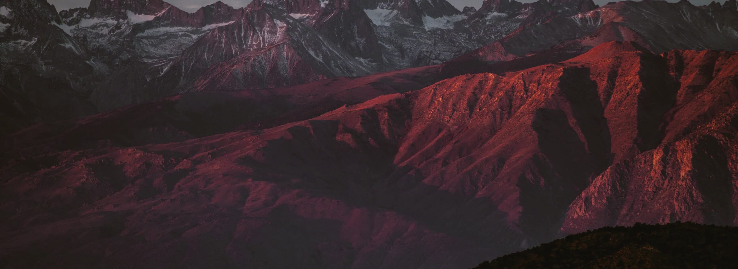 Saleshero, Designed and Developed by Ester Digital