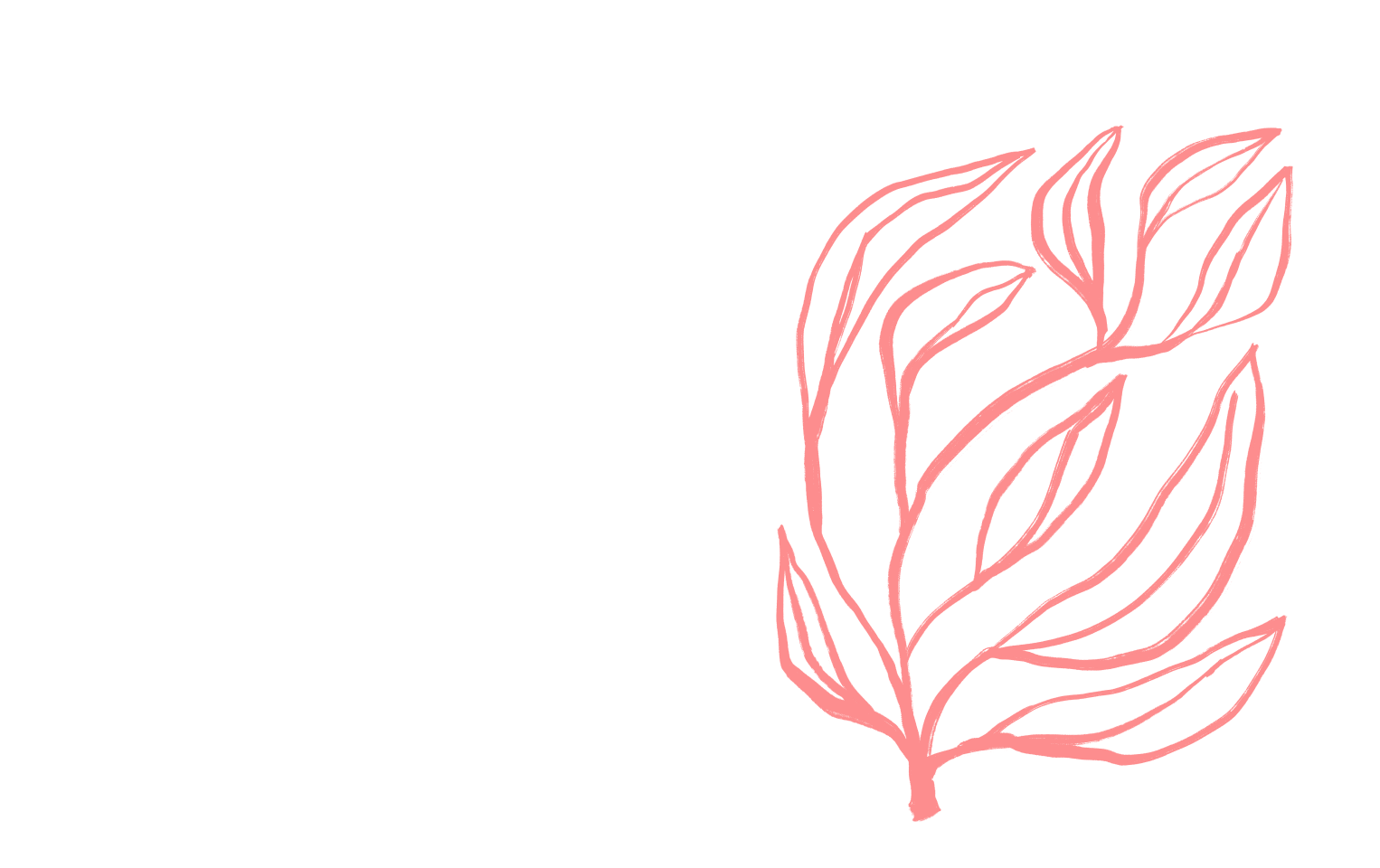 Webdesign Agentur Berlin